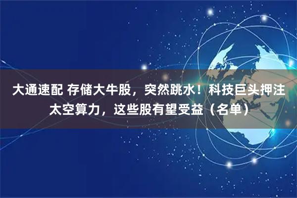 大通速配 存储大牛股，突然跳水！科技巨头押注太空算力，这些股有望受益（名单）