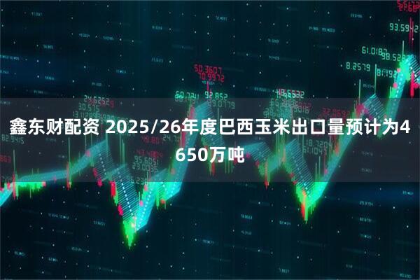鑫东财配资 2025/26年度巴西玉米出口量预计为4650万吨