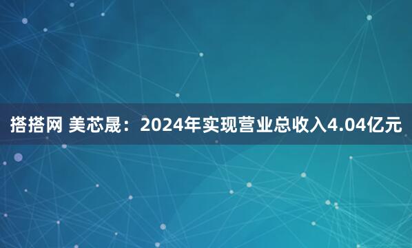 搭搭网 美芯晟：2024年实现营业总收入4.04亿元