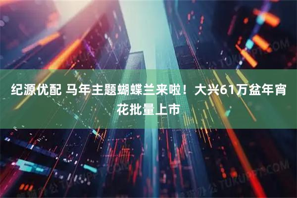 纪源优配 马年主题蝴蝶兰来啦！大兴61万盆年宵花批量上市