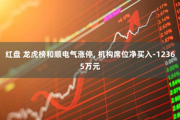 红盘 龙虎榜和顺电气涨停, 机构席位净买入-12365万元